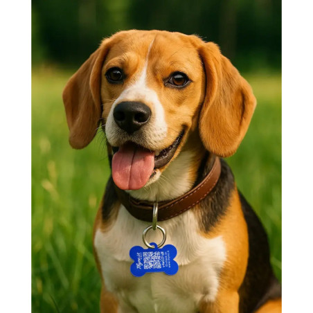 Hundemarke Knochenform Aluminium Blau – QR-Code Tier-ID mit Online-Profil