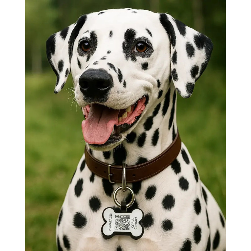 Pet-Tag SOS "Bone" Silicone White