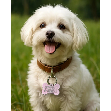 Hundemarke Knochenform Aluminium Rosa – QR-Code Tier-ID mit Online-Profil