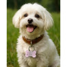 Dog tag bone shape aluminum Pink – QR code pet ID with online profile