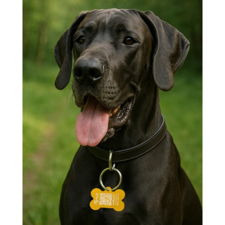 Hundemarke Knochenform Aluminium Orange-Gold – QR-Code Tier-ID mit Online-Profil
