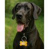 Hundemarke Knochenform Aluminium Orange-Gold – QR-Code Tier-ID mit Online-Profil