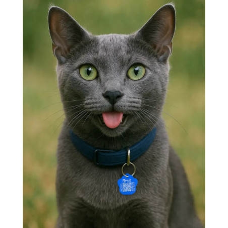 Tiermarke Pfotenform Aluminium Blau – QR-Code Tier-ID mit Online-Profil