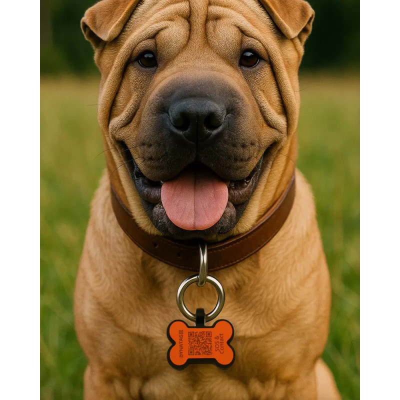 Pet-Tag SOS "Bone" Silicone Orange