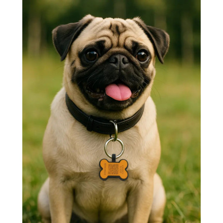 Hundemarke Knochenform Silikon Koralle – QR-Code Tier-ID mit Online-Profil