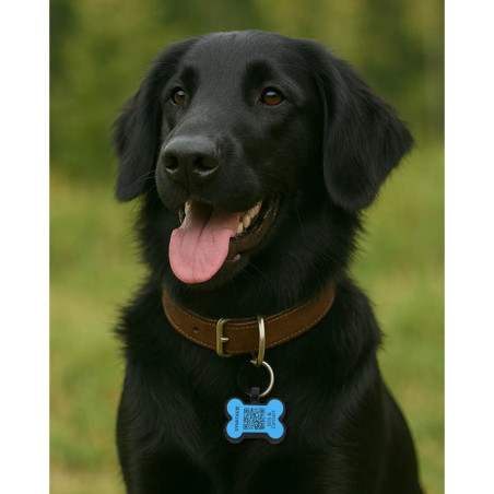 Hundemarke SOS Knochen Silikon Blau
