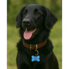 Hundemarke SOS Knochen Silikon Blau