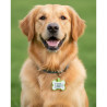 Pet-Tag SOS "Bone" Silicone Glow Green