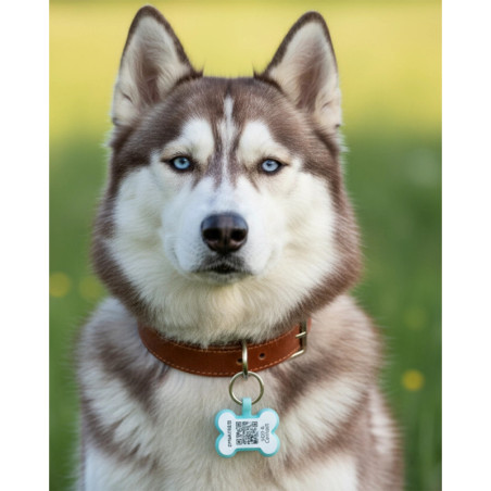 Hundemarke SOS "Knochen" Silikon Fluoreszierend Blau