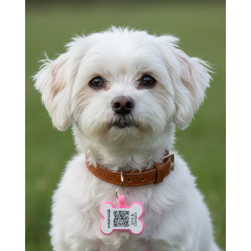 Pet-Tag SOS "Bone" Silicone Glow Pink