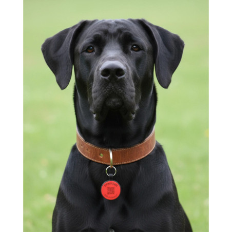 Hundemarke SOS "Knochen" Silikon Rot