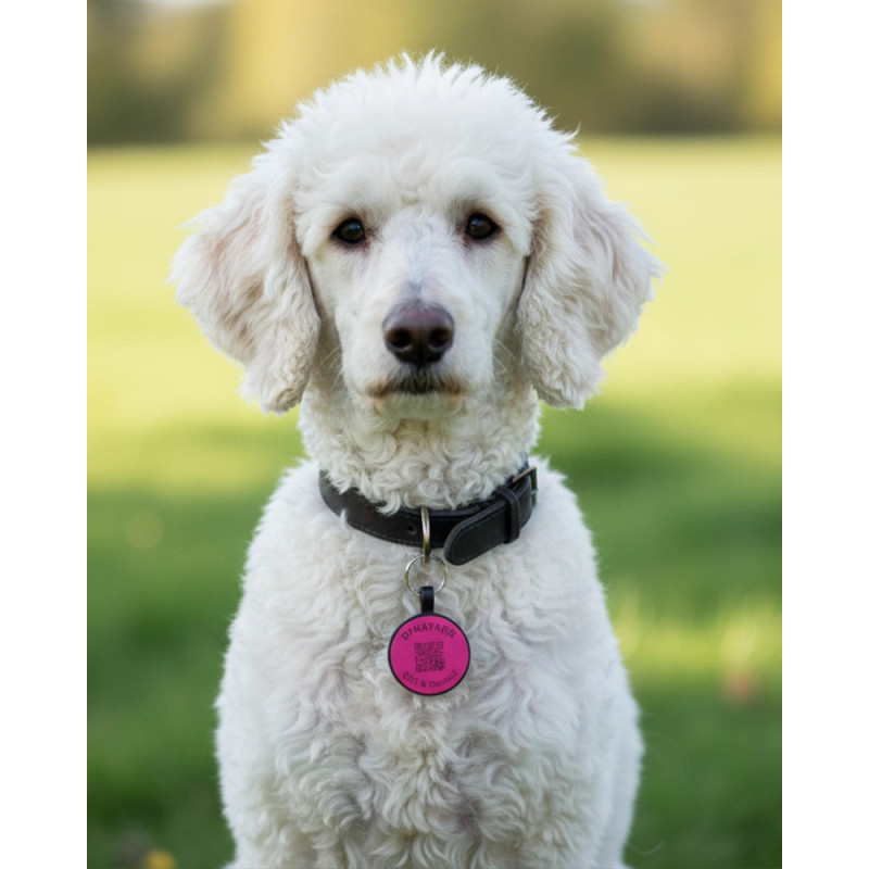 Pet-Tag SOS "Bone" Silicone Red