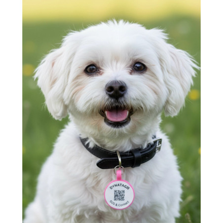 Hundemarke SOS "Knochen" Silikon Rot