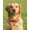 Hundemarke SOS "Knochen" Silikon Rot