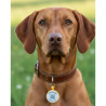 Hundemarke SOS "Knochen" Silikon Rot
