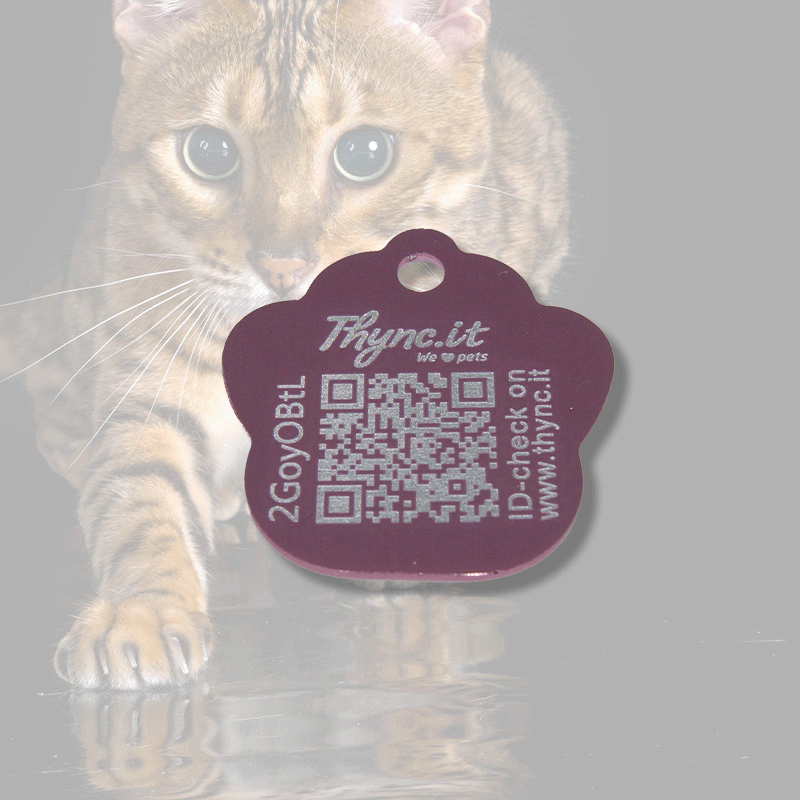 Pet Tag  "Paw" Alu Pink